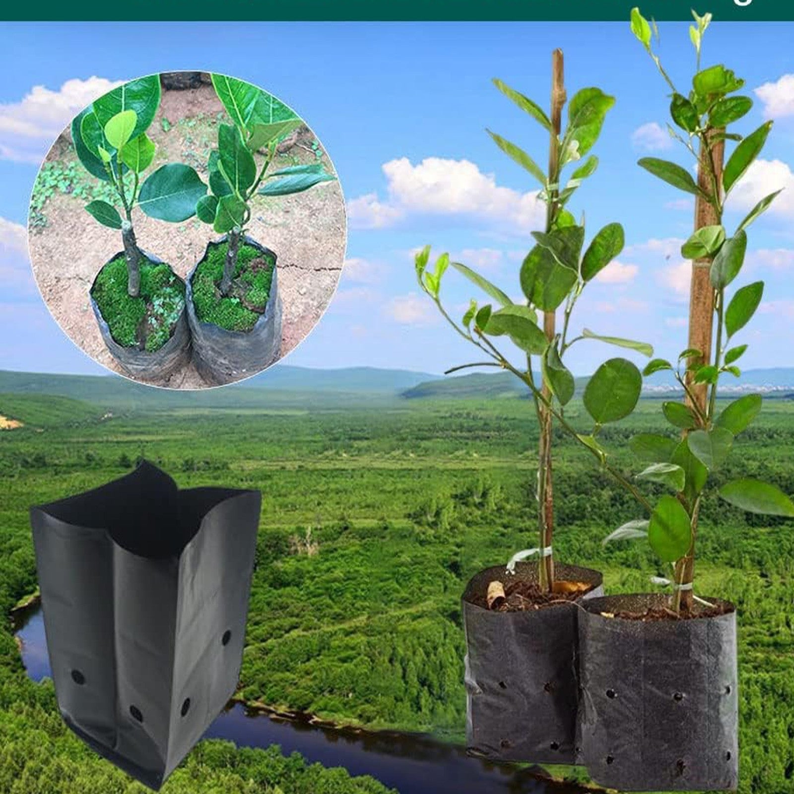 300PCS Plant Grow Bags with Breathable Holes - PE Seedling Nursery Bags in 3 Sizes