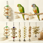 Colourful parrot cage toys