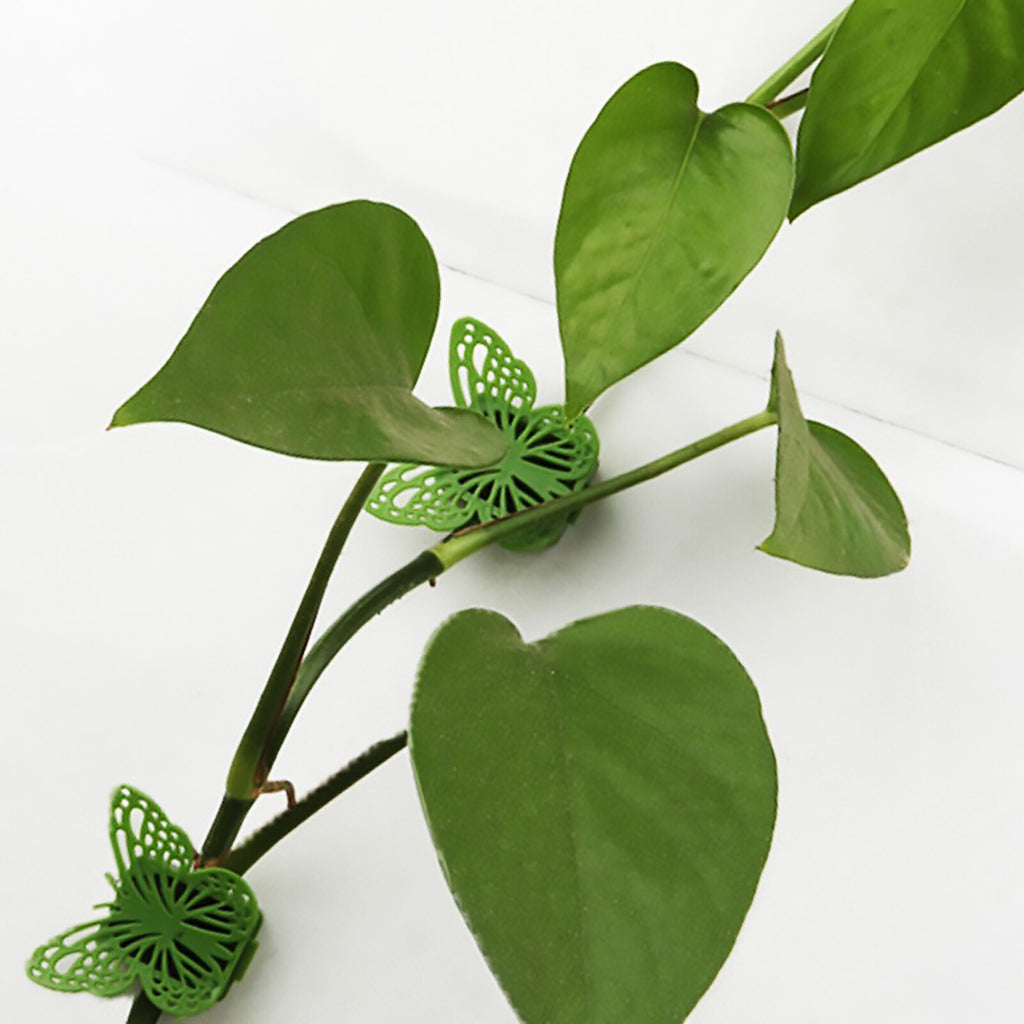 100 Pack Butterfly Plant Clips – Vine Wall Climbing Fixing Clips for Indoor and Outdoor Plants