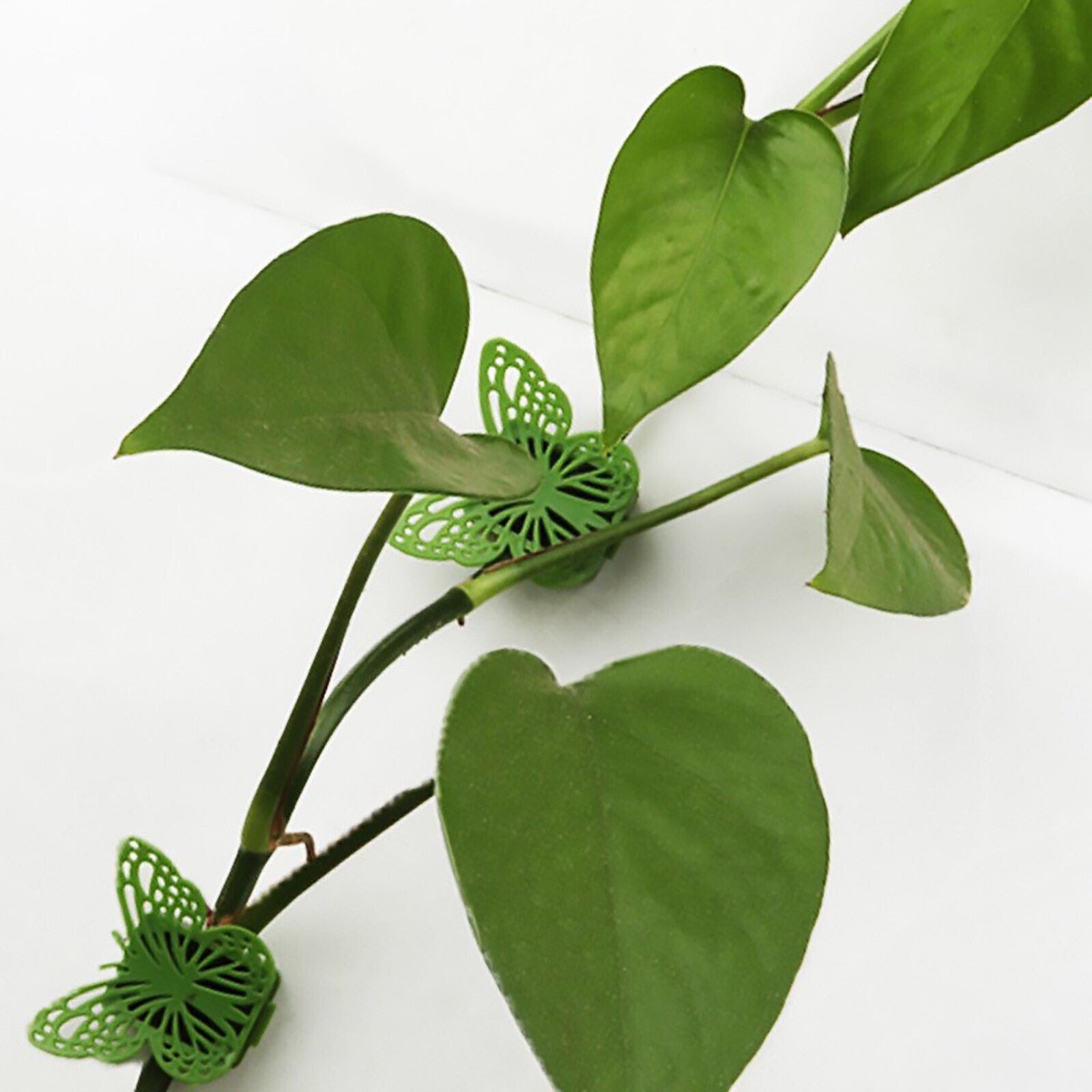 100 Pack Butterfly Plant Clips – Vine Wall Climbing Fixing Clips for Indoor and Outdoor Plants