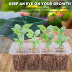 20 Sets 12-Cell Seed Starter Tray Kit with Plant Labels | Seedling Propagation Grow Box