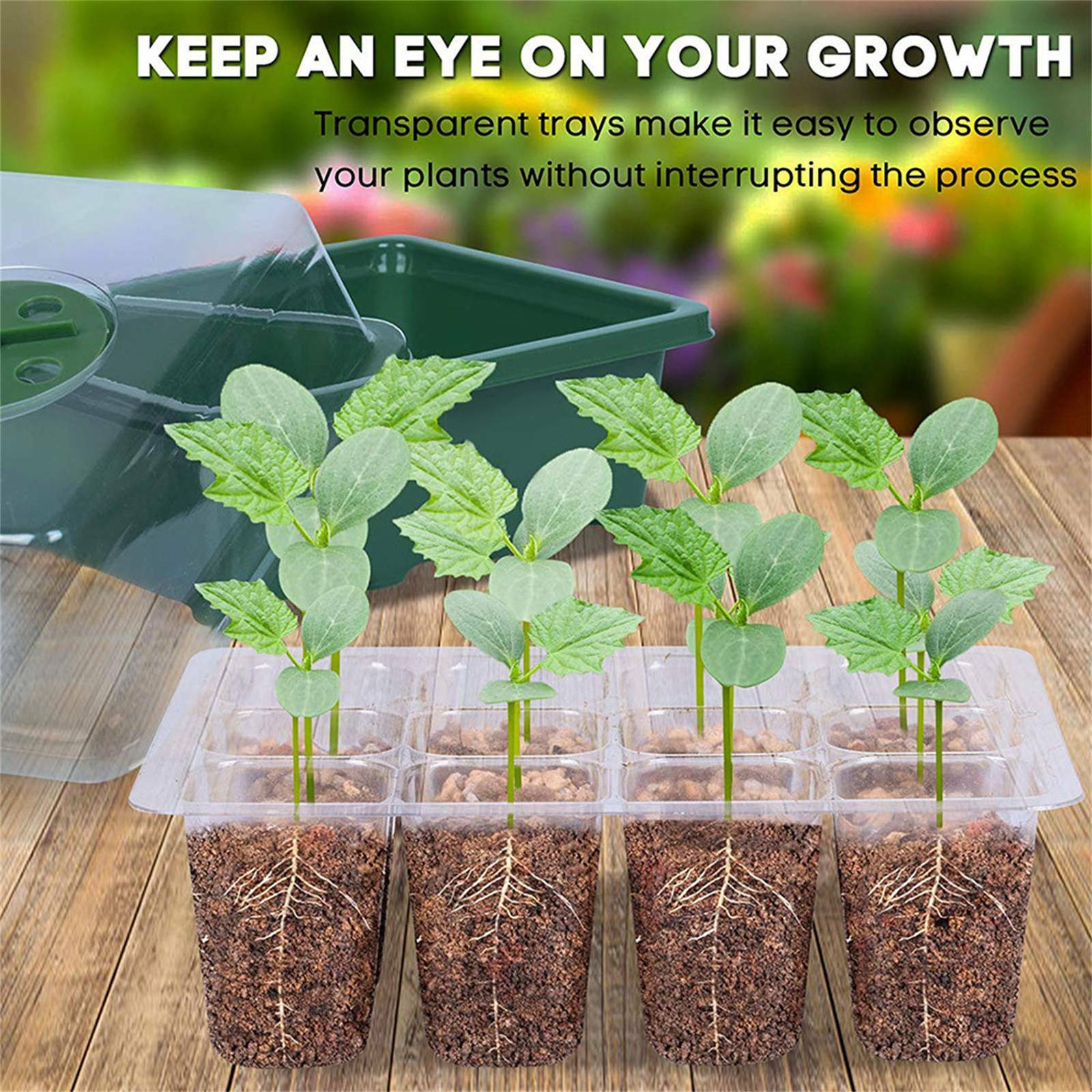 20 Sets 12-Cell Seed Starter Tray Kit with Plant Labels | Seedling Propagation Grow Box