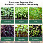 20 Sets 12-Cell Seed Starter Tray Kit with Plant Labels | Seedling Propagation Grow Box