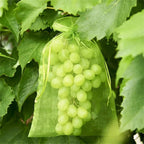 50PCS Vegetable Garden Fruit Protection Net Bags - Mesh Insect Proof Organza Bags 20x30cm