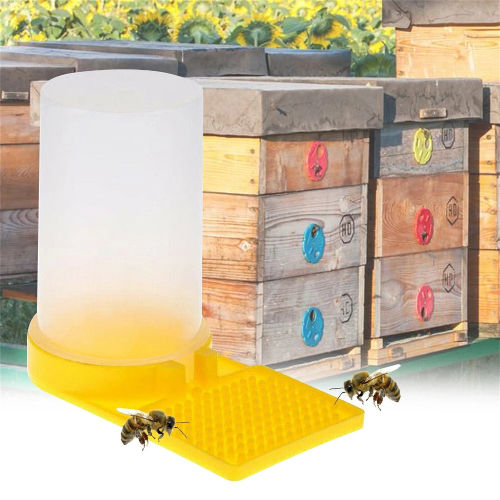 Bee feeder beside beehives