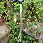 Adjustable Aluminium Walking Stick Retractable Travel Cane Lightweight Portable Mobility Aid