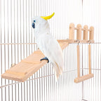 Wooden Bird Swing Toy for Parrots | Natural Hanging Perch Cage Playground