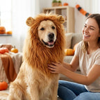 Woman smiling at her dog dressed in a lion costume for dogs