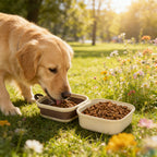2pcs 2-in-1 Portable Pet Food & Water Bowl | Collapsible Travel Dog Cat Feeding Set