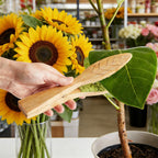 2PCS Wooden Leaf Cleaning Tongs Plant Leaf Lint Cleaner with Wood Handle 25cm AU