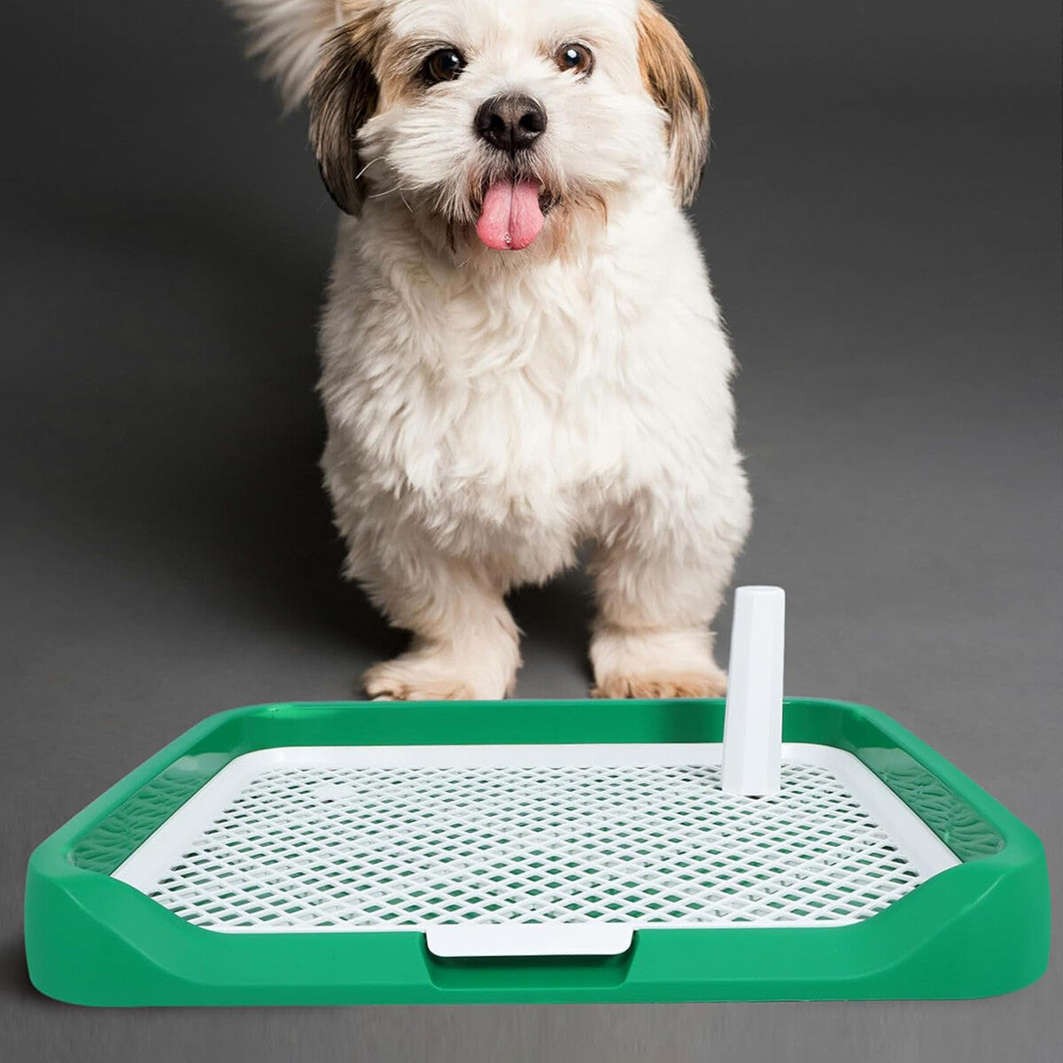 Indoor Dog Potty Trainer Pad Tray - Small Puppy Toilet Pee Tray with Grille