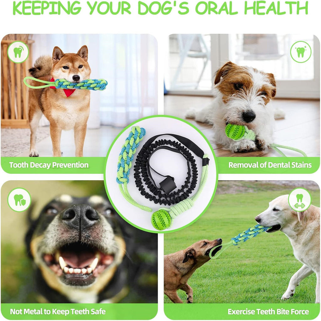 2 Set Interactive Dog Tug Toy Rope – Hanging Bungee Pull Toy for Indoor and Outdoor Play
