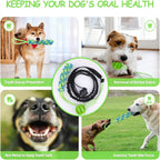2 Set Interactive Dog Tug Toy Rope – Hanging Bungee Pull Toy for Indoor and Outdoor Play