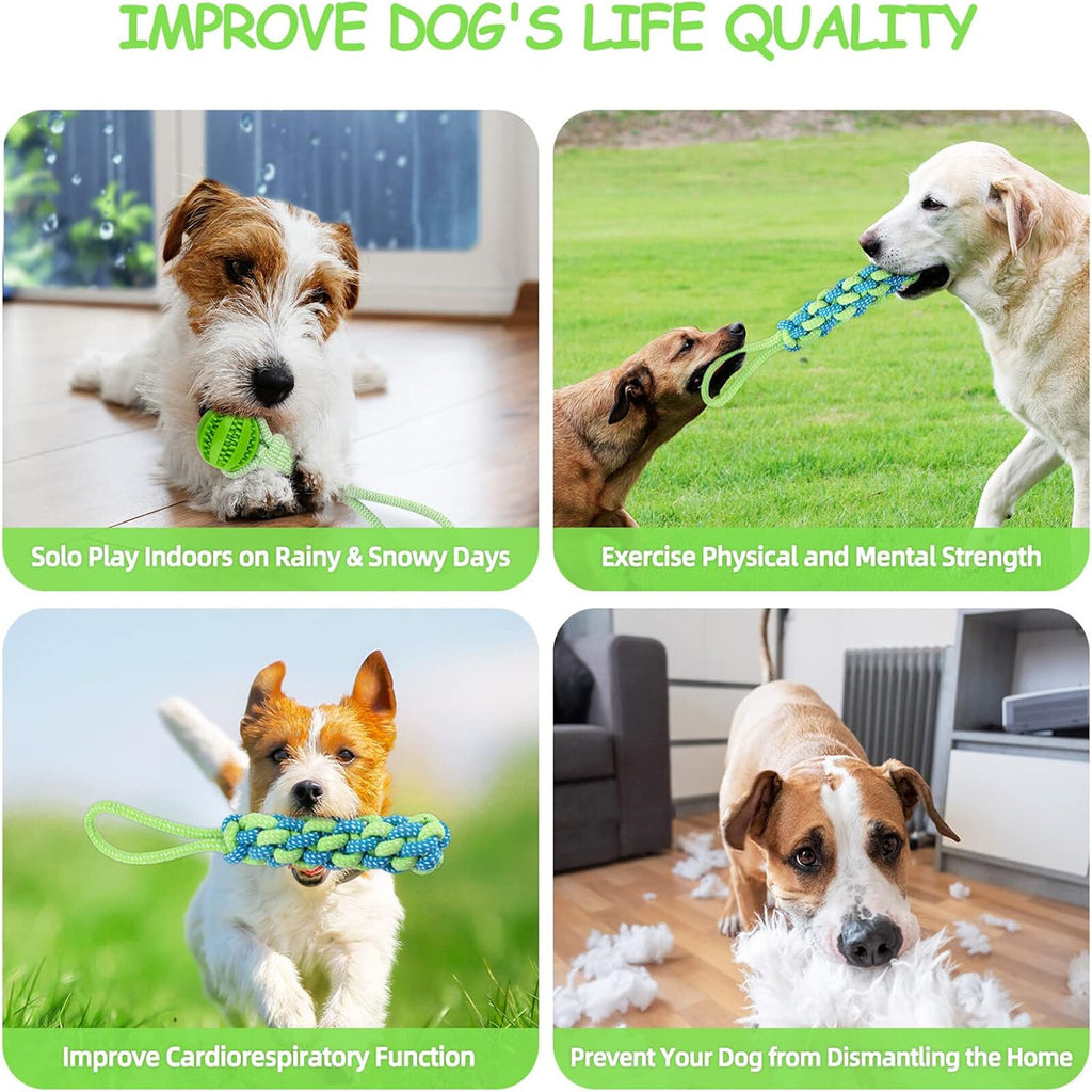 2 Set Interactive Dog Tug Toy Rope – Hanging Bungee Pull Toy for Indoor and Outdoor Play