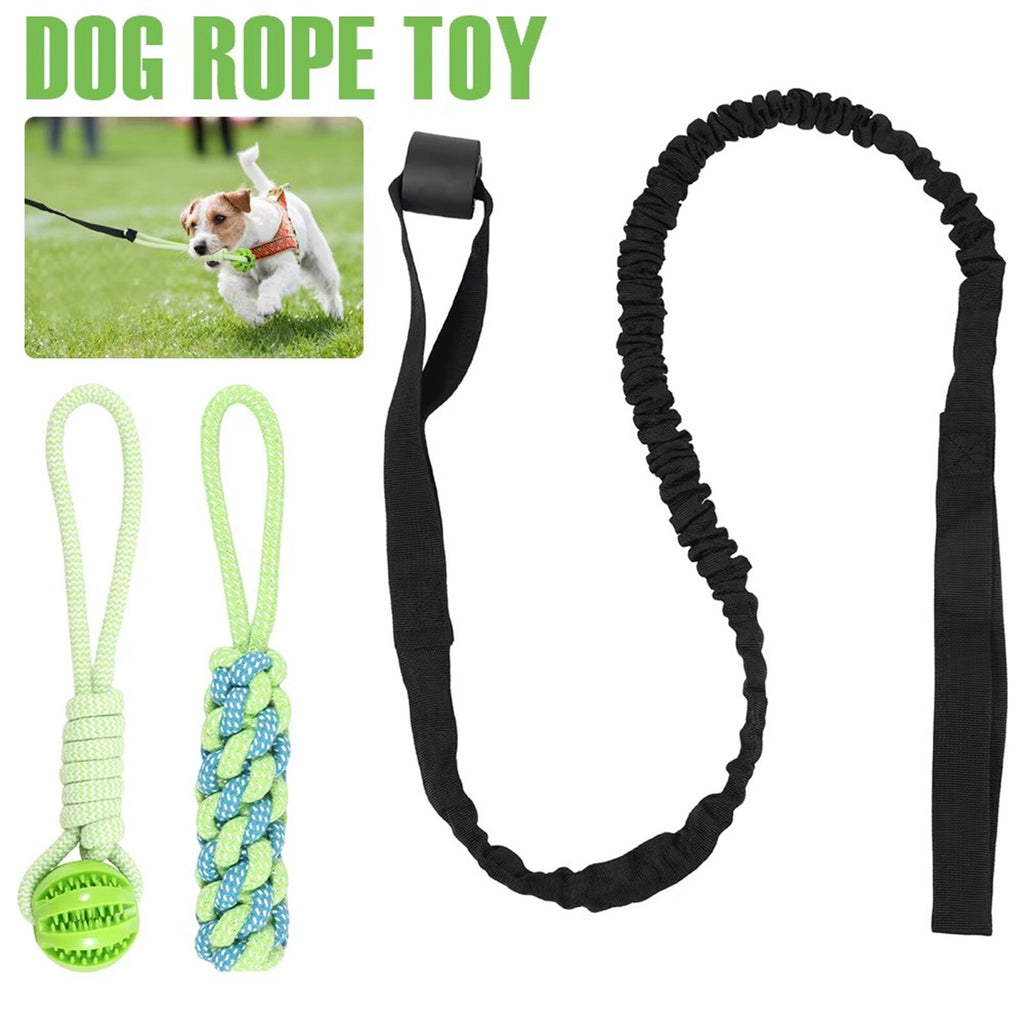 2 Set Interactive Dog Tug Toy Rope – Hanging Bungee Pull Toy for Indoor and Outdoor Play