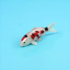 Red, black and white koi model