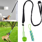 2 Set Interactive Dog Tug Toy Rope – Hanging Bungee Pull Toy for Indoor and Outdoor Play