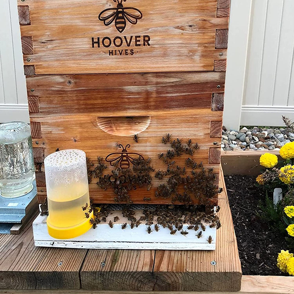 Entrance feeder at a beehive