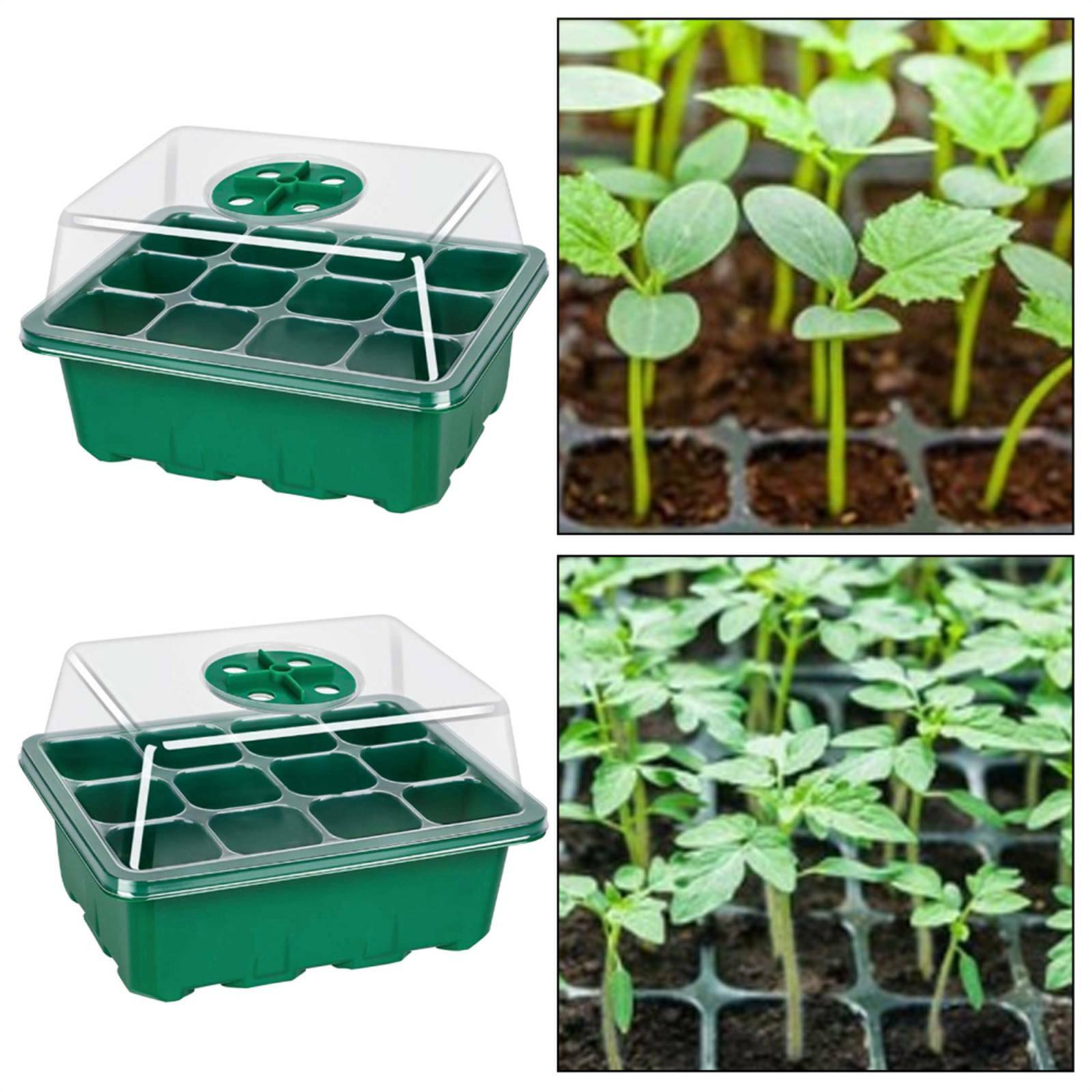 20 Sets 12-Cell Seed Starter Tray Kit with Plant Labels | Seedling Propagation Grow Box