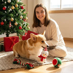 Corgi sitting beside a Christmas tree with snowman plush, rope and ball dog toys