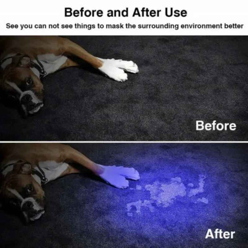 UV LED Blacklight Flashlight 395nm Portable Inspection Torch – Currency & Pet Stain Detector
