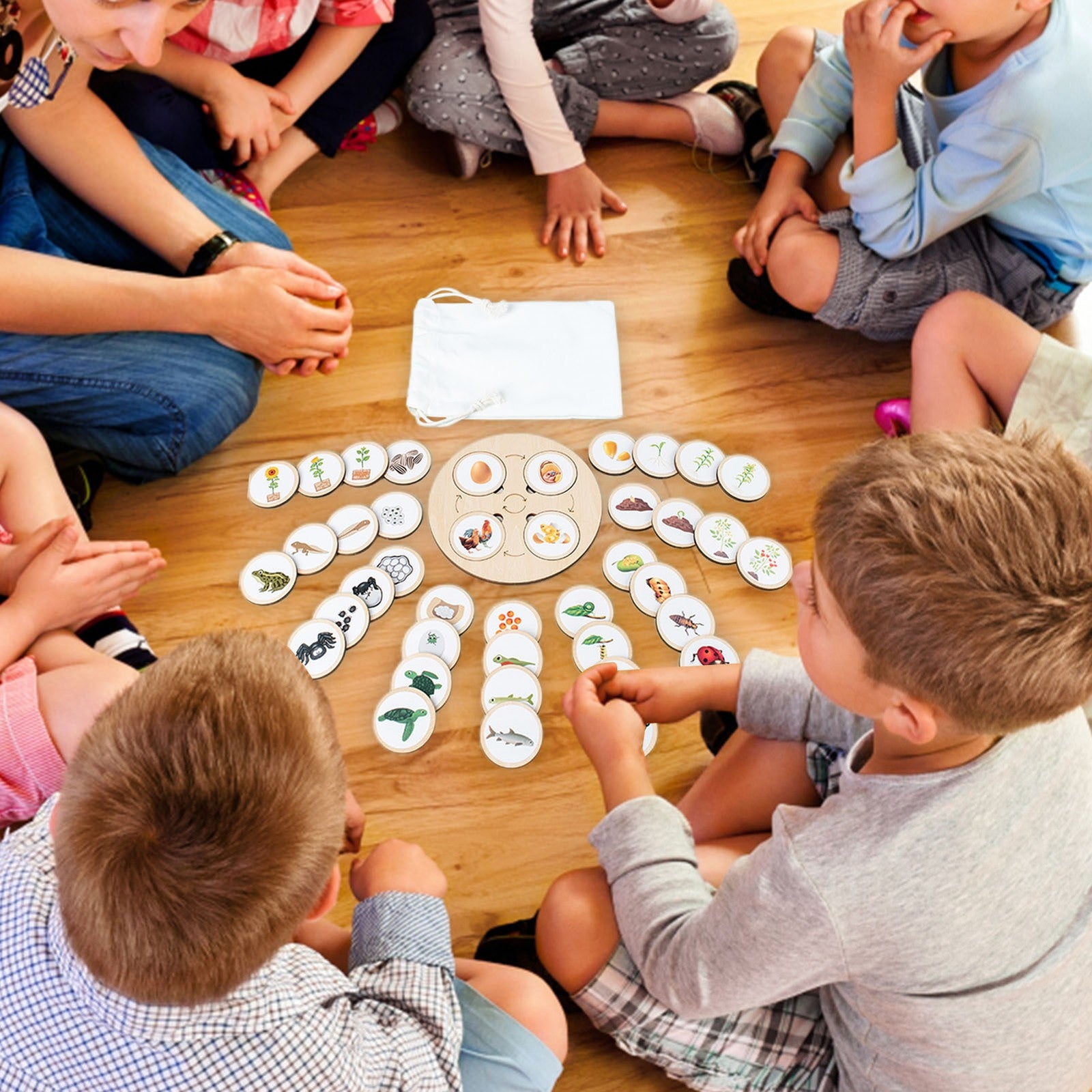 Wooden Montessori Life Cycle Puzzle Board Toddler Learning Educational Toy